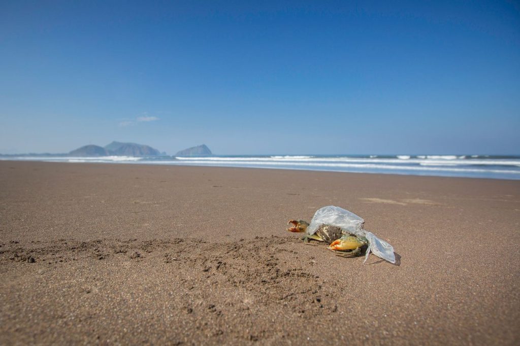 Caranguejo preso em uma sacola plástica sobre uma praia arenosa aparentemente preservada.